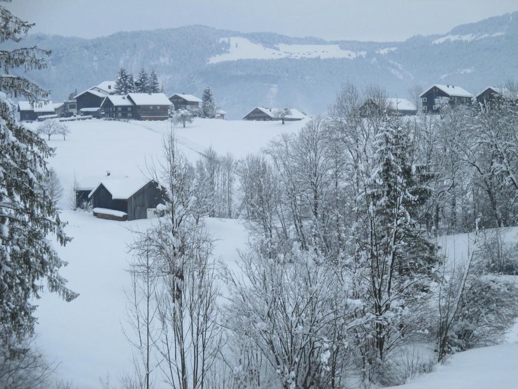 Apartmán Haus Schneider Andelsbuch Pokoj fotografie